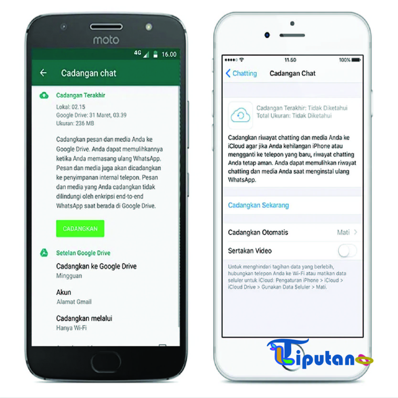 Cara melihat pesan yang sudah dihapus di WA tanpa aplikasi TribunLiput