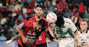 Hasil Liga 1: Empat Gol Tercipta, Bali United Kalahkan Persija