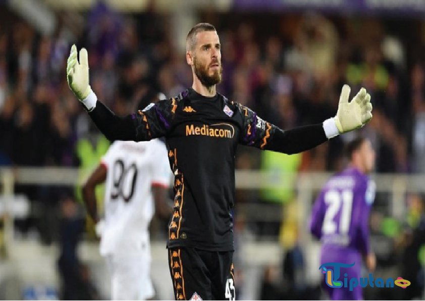 Hasil Liga Italia: Fiorentina Tumbang 1-2 di Tangan Udinese