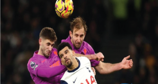 Liga Inggris: Spurs dan Wolves Bermain Imbang 2-2