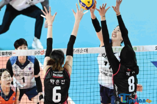 Hasil Liga Voli Korea - Megawati Kantongi Kartu Hijau, Red Sparks Naik ke Peringkat 2 dengan Penuh Senyum