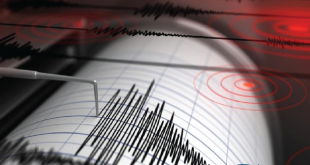 BMKG Analisis Penyebab Gempa Dangkal M 5,4 di Tolitoli, Sulteng