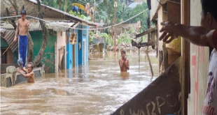 Ciliwung Meluap: Banjir Kembali Menerjang, Warga Kewalahan