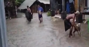 Sungai Celeng Meluap, Banjir Rendam Puluhan Rumah di Imogiri