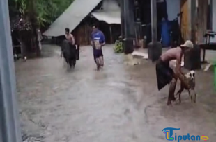 Sungai Celeng Meluap, Banjir Rendam Puluhan Rumah di Imogiri