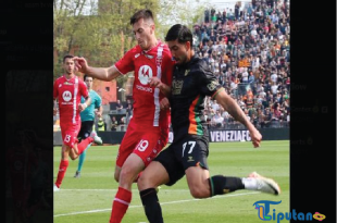 Hasil Liga Italia: Jay Idzes dkk Raih Clean-Sheet atas Monza, Venezia Akhiri Paceklik Kemenangan Berkat Pemain Pengganti
