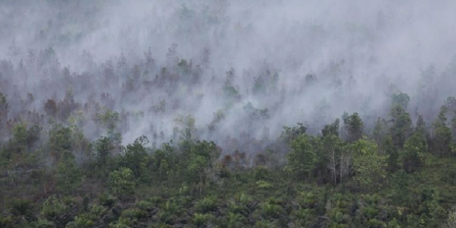 Kemarau Basah Diprediksi, Target Karhutla 2025 Minimal Sama Rendahnya Seperti 2022