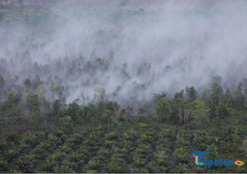 Kemarau Basah Diprediksi, Target Karhutla 2025 Minimal Sama Rendahnya Seperti 2022