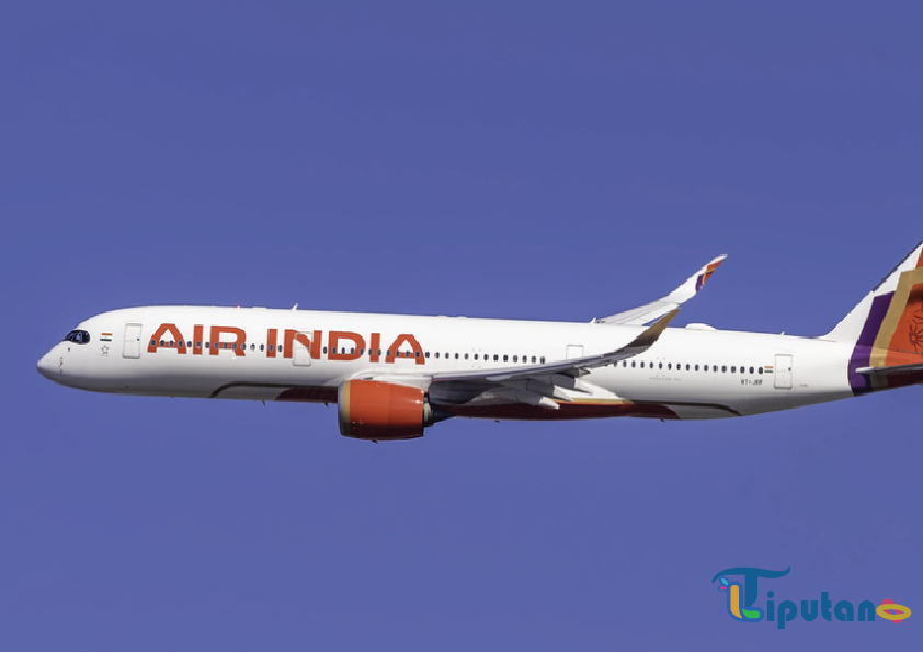 Kisah Penumpang Selamat Air India: Berjalan Sendiri Setelah Pesawat Jatuh