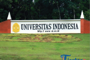 Pengumuman Jalur PPKB UI 2025: Cek Hasil Seleksi di penerimaan.ui.ac.id