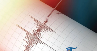 BMKG Laporkan 11 Gempa Dangkal Susulan di Poso Akibat Aktivitas Sesar Aktif