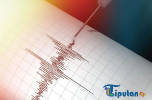 BMKG Laporkan 11 Gempa Dangkal Susulan di Poso Akibat Aktivitas Sesar Aktif