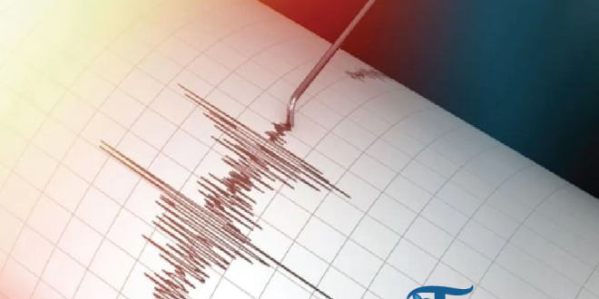 BMKG Laporkan 11 Gempa Dangkal Susulan di Poso Akibat Aktivitas Sesar Aktif