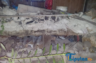 Gempa Magnitudo 5,7 Guncang Poso: Satu Rumah Ambruk, Tiga Rusak Ringan