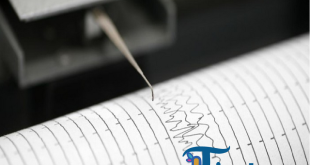 Gempa Magnitudo 4,9 Guncang Sarmi, Papua