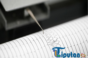 Gempa Magnitudo 4,9 Guncang Sarmi, Papua
