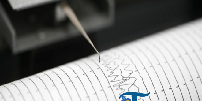 Gempa Magnitudo 4,9 Guncang Sarmi, Papua