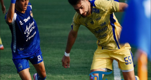 Komentar Bojan Hodak Usai Laga PSIM vs Persib 1-1: Dua Penalti Gagal Jadi Sorotan