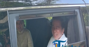 Apa Peran Jokowi di Dewan Penasihat Bloomberg New Economy?