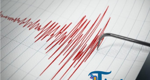 BMKG Pastikan Gempa Magnitudo 4,8 di Parigi Moutong Tidak Picu Tsunami