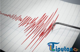 BMKG Pastikan Gempa Magnitudo 4,8 di Parigi Moutong Tidak Picu Tsunami