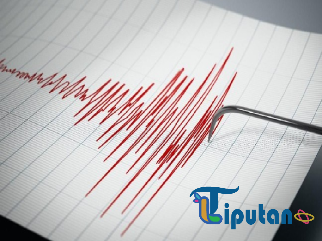 BMKG Pastikan Gempa Magnitudo 4,8 di Parigi Moutong Tidak Picu Tsunami
