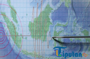Banyuwangi Diguncang Gempa M 5,7, Disusul 24 Kali Gempa Susulan