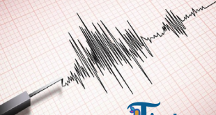 Gempa Magnitudo 6,5 Guncang Nabire, BMKG Pastikan Tak Picu Tsunami