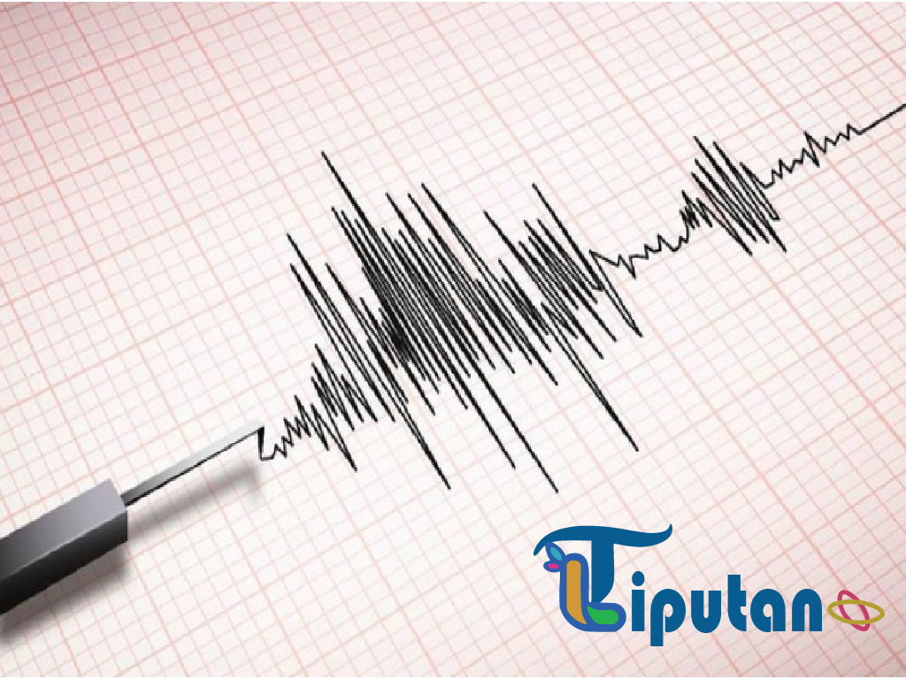 Gempa Magnitudo 6,5 Guncang Nabire, BMKG Pastikan Tak Picu Tsunami