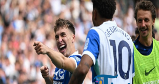 The Citizens Tumbang! Brighton Sukses Balikkan Keadaan 2-1