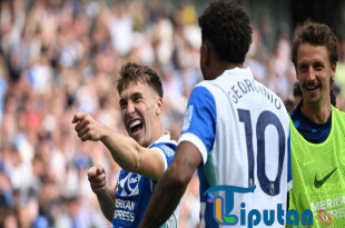 The Citizens Tumbang! Brighton Sukses Balikkan Keadaan 2-1