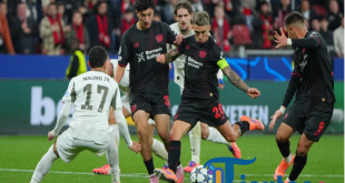 Bayer Leverkusen dan PSV Bermain Imbang 1-1