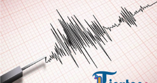 Fakta Awal Gempa Besar di Talaud, Sulawesi Utara dan Papua
