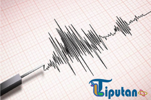 Fakta Awal Gempa Besar di Talaud, Sulawesi Utara dan Papua