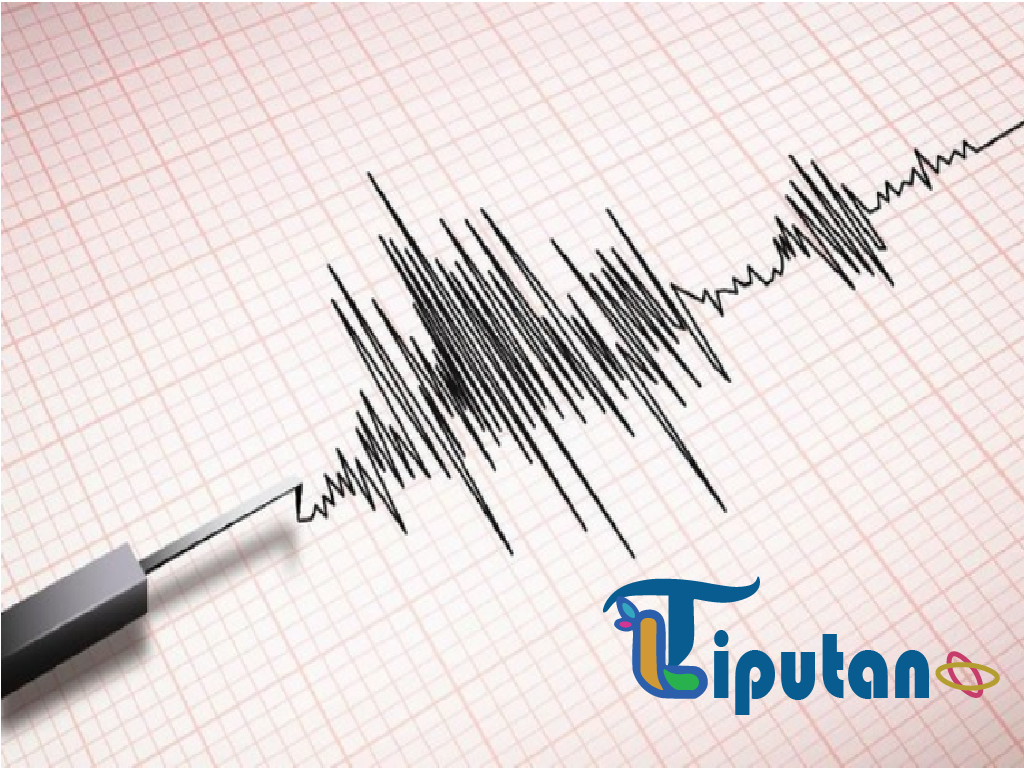 Fakta Awal Gempa Besar di Talaud, Sulawesi Utara dan Papua
