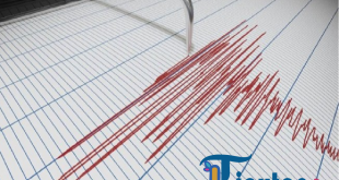 Gempa Magnitudo 6,5 Guncang Guadeloupe, Peringatan Tsunami Dikeluarkan