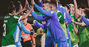 Prediksi LDU Quito vs Palmeiras: Skor, Head-to-Head, dan Statistik Copa Libertadores
