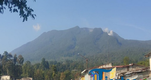 Puluhan Pendaki Ilegal di Gunung Gede Pangrango Dikenai Denda Lima Kali Lipat