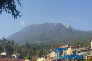 Puluhan Pendaki Ilegal di Gunung Gede Pangrango Dikenai Denda Lima Kali Lipat