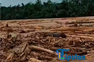 Banjir di Sumut Hanyutkan Kayu Gelondongan, Bobby Angkat Bicara