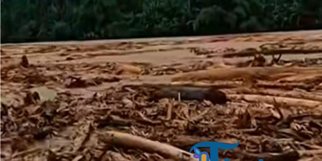 Banjir di Sumut Hanyutkan Kayu Gelondongan, Bobby Angkat Bicara