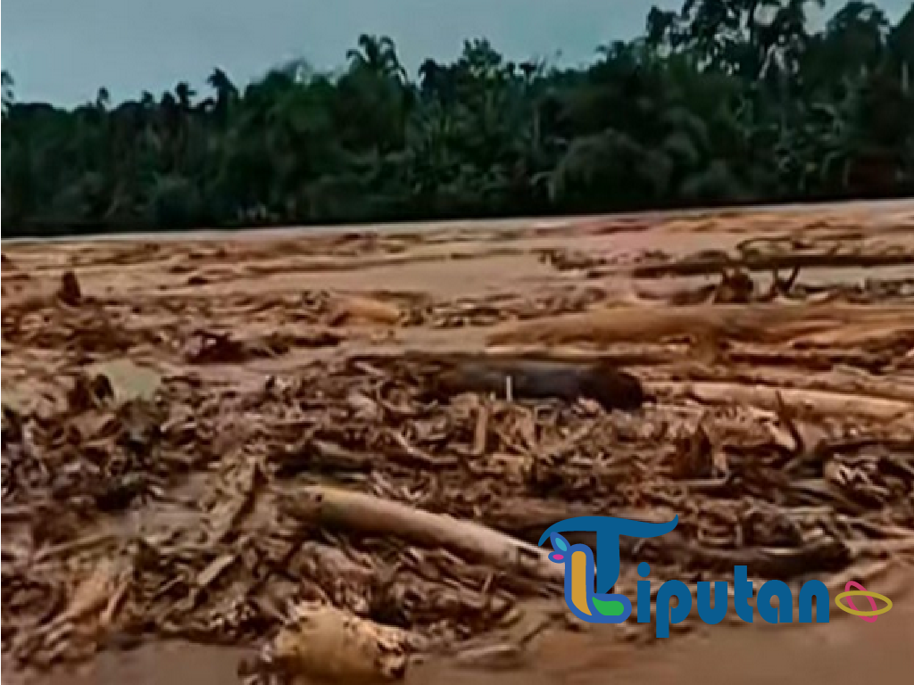 Banjir di Sumut Hanyutkan Kayu Gelondongan, Bobby Angkat Bicara