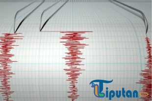 Gempa M 5,2 Guncang Blitar, Getarannya Sampai Bali
