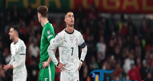 Irlandia Jinakkan Portugal: Ronaldo Dikartu Merah, Selecao Tumbang 0-2