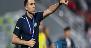 Menuju Timnas Indonesia? Intip Rekam Jejak Timur Kapadze