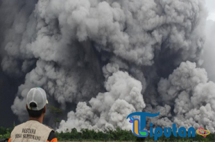 Pendaki di Ranu Kumbolo Diminta Evakuasi Akibat Erupsi Gunung Semeru