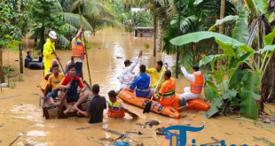 Tragedi Banjir dan Longsor di Sumatera: 174 Jiwa Tewas, 12.546 Keluarga Kehilangan Tempat Tinggal