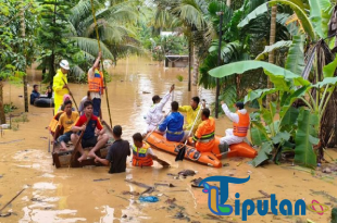 Tragedi Banjir dan Longsor di Sumatera: 174 Jiwa Tewas, 12.546 Keluarga Kehilangan Tempat Tinggal