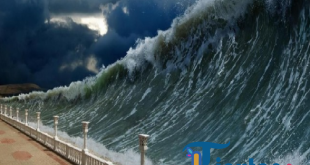 Gempa Dahsyat Guncang Jepang, Tsunami 40 Cm Terjang Misawa hingga Hokkaido