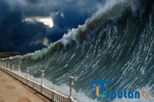 Gempa Dahsyat Guncang Jepang, Tsunami 40 Cm Terjang Misawa hingga Hokkaido